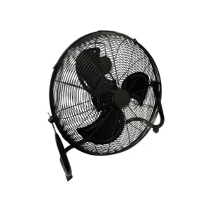 Fans